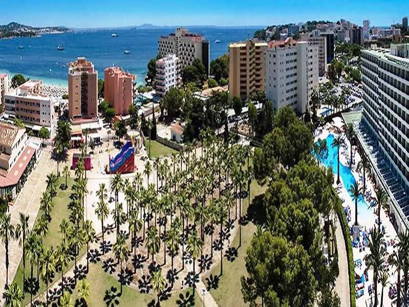 Hotel Sol Palmanova Mirlos Tordos Magaluf