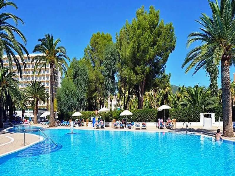 Hotel Sol Palmanova Mirlos Tordos Magaluf